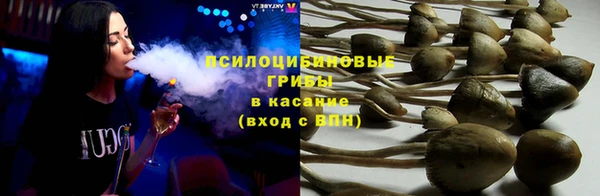 крисы Санкт-Петербург